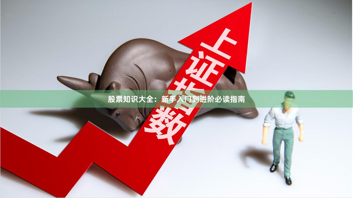 股票知识大全：新手入门到进阶必读指南