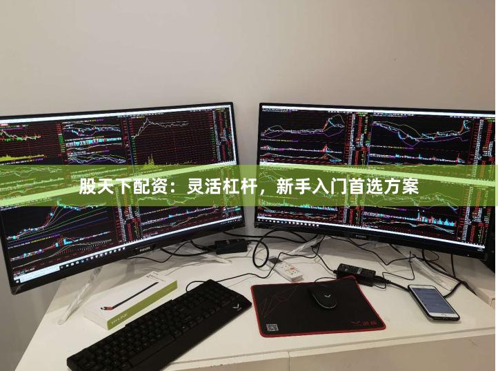 股天下配资：灵活杠杆，新手入门首选方案